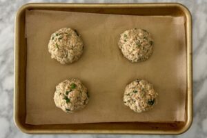 Salmon Burgers With Canned Salmon Healthy Foodie Girl