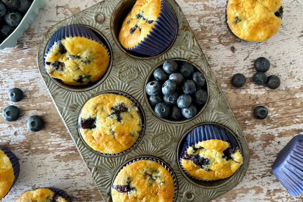 Cottage Cheese Blueberry Muffins | Healthy Foodie Girl Cottage Cheese Blueberry Muffins