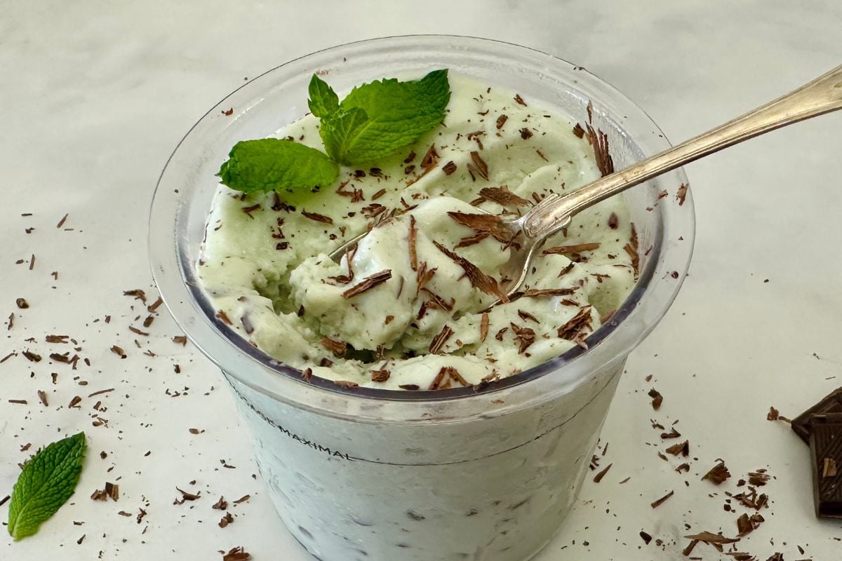 Assembled Ninja Creami Mint Chocolate Chip Protein Ice Cream