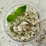 Ninja Creami Mint Chocolate Chip Protein Ice Cream