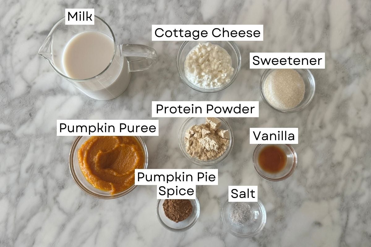 Ingredients for Ninja Creami pumpkin protein ice cream