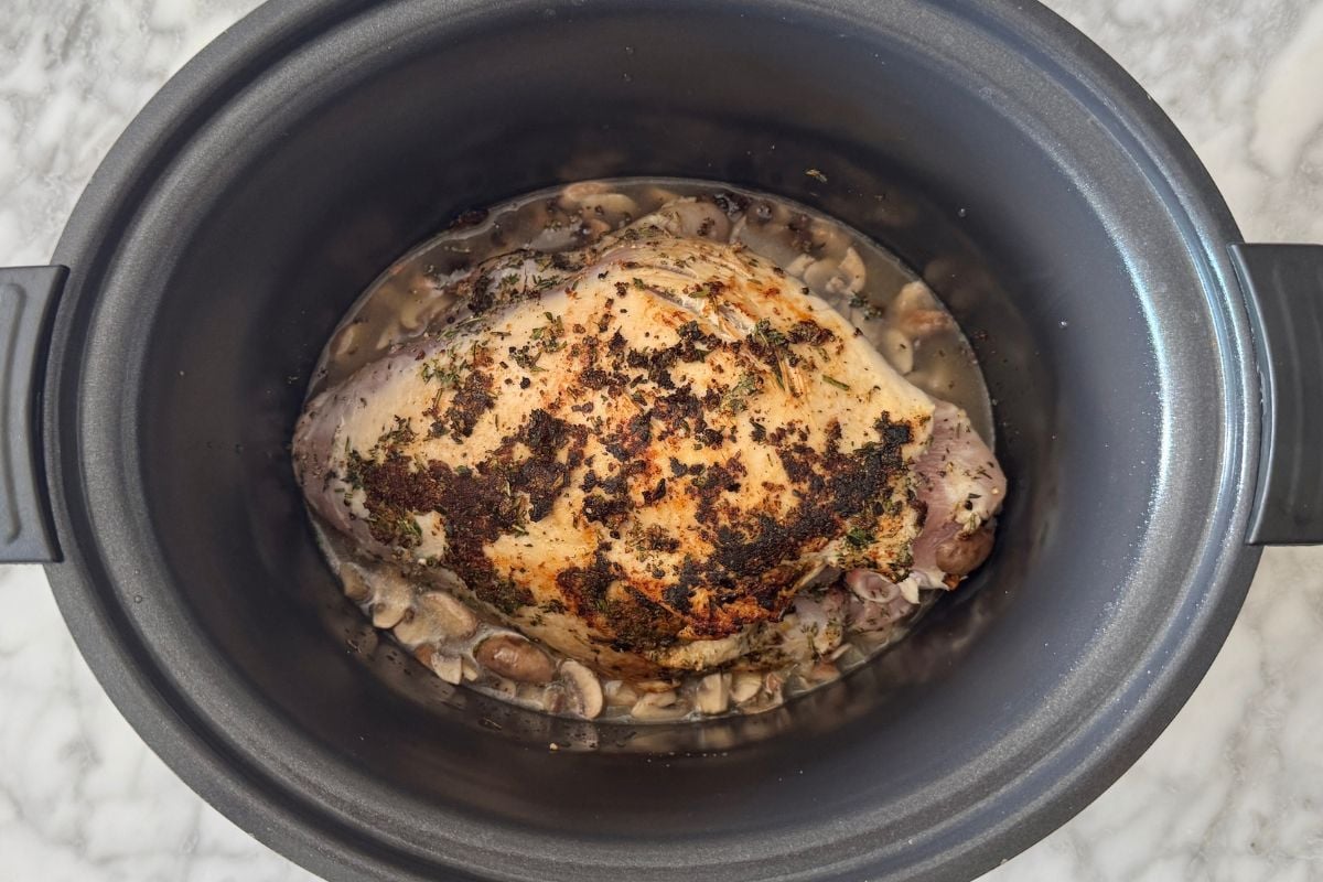 Seared turkey breast in slow cooker