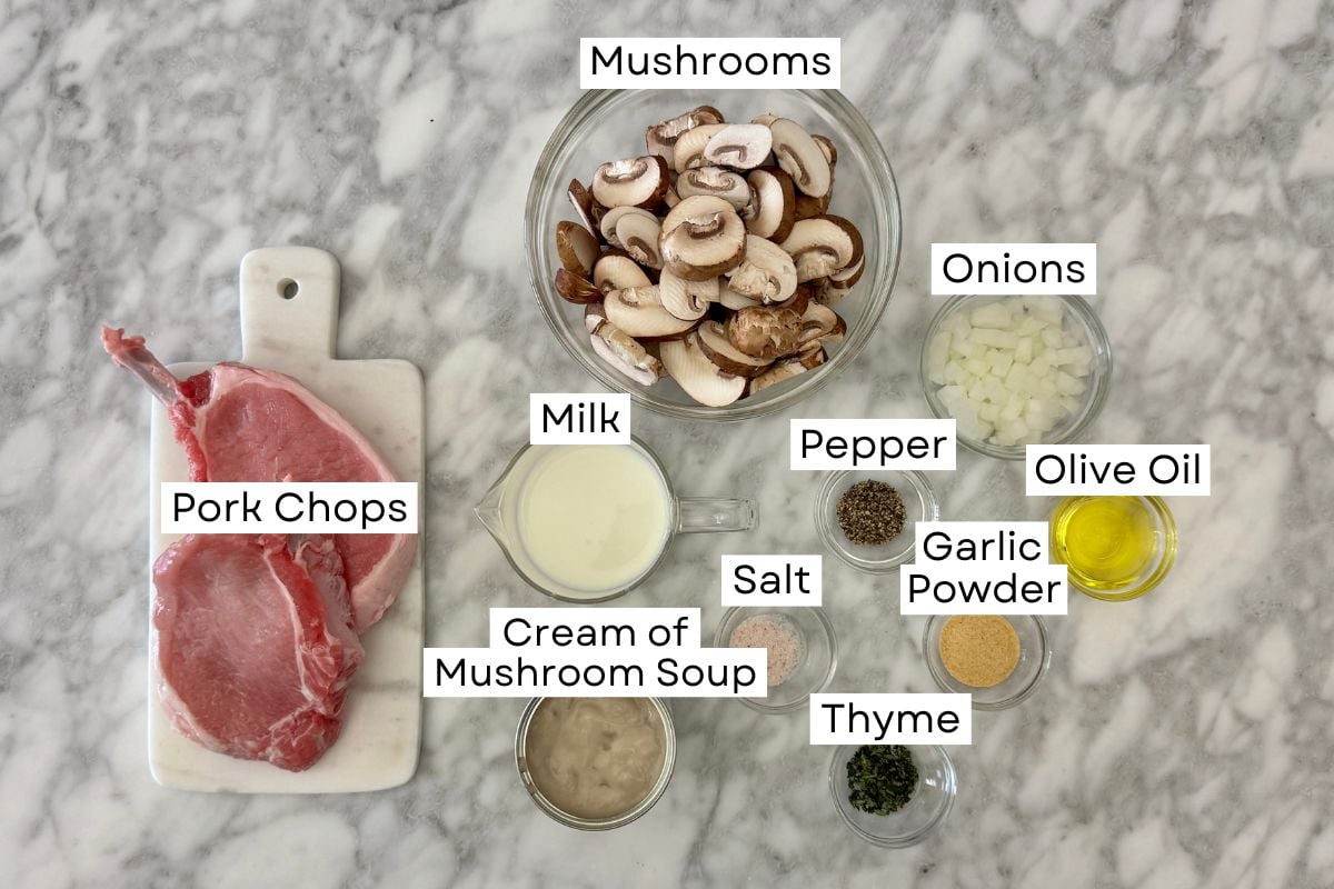 Ingredients for cream of mushroom pork chops recipe
