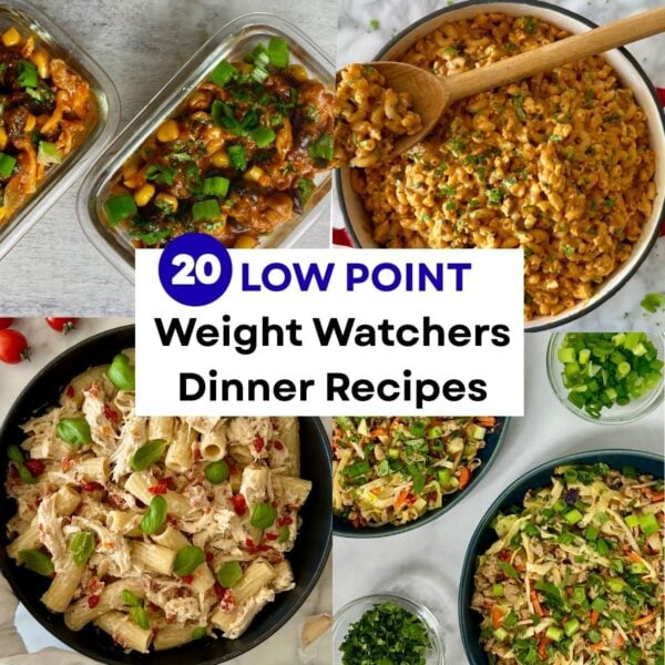 Weight Watchers Dinner Recipes | Healthy Foodie Girl Weight Watchers Dinner Recipes