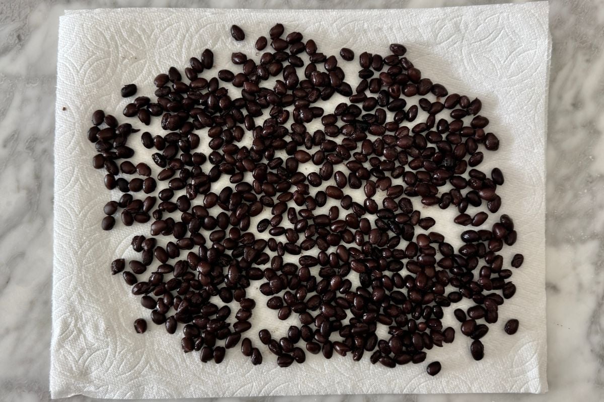 Black beans drying on paper towels.